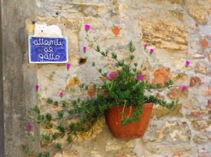 Flowers on walls