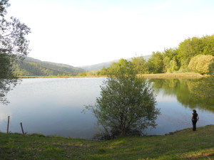 Vista sul lago