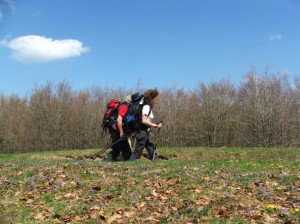 via_degli_dei_appennino