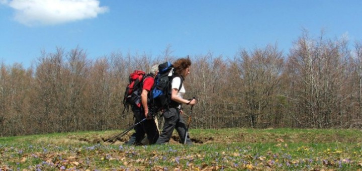 via_degli_dei_appennino