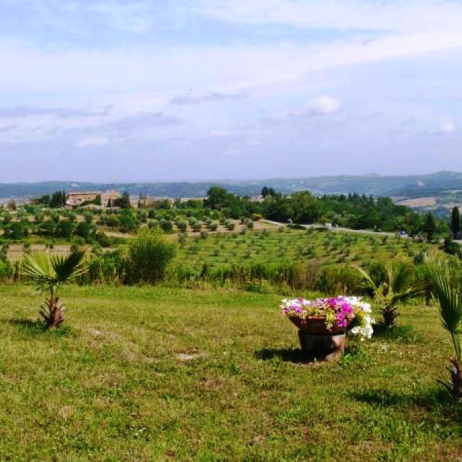 Appartamenti tra i tartufi e bosco