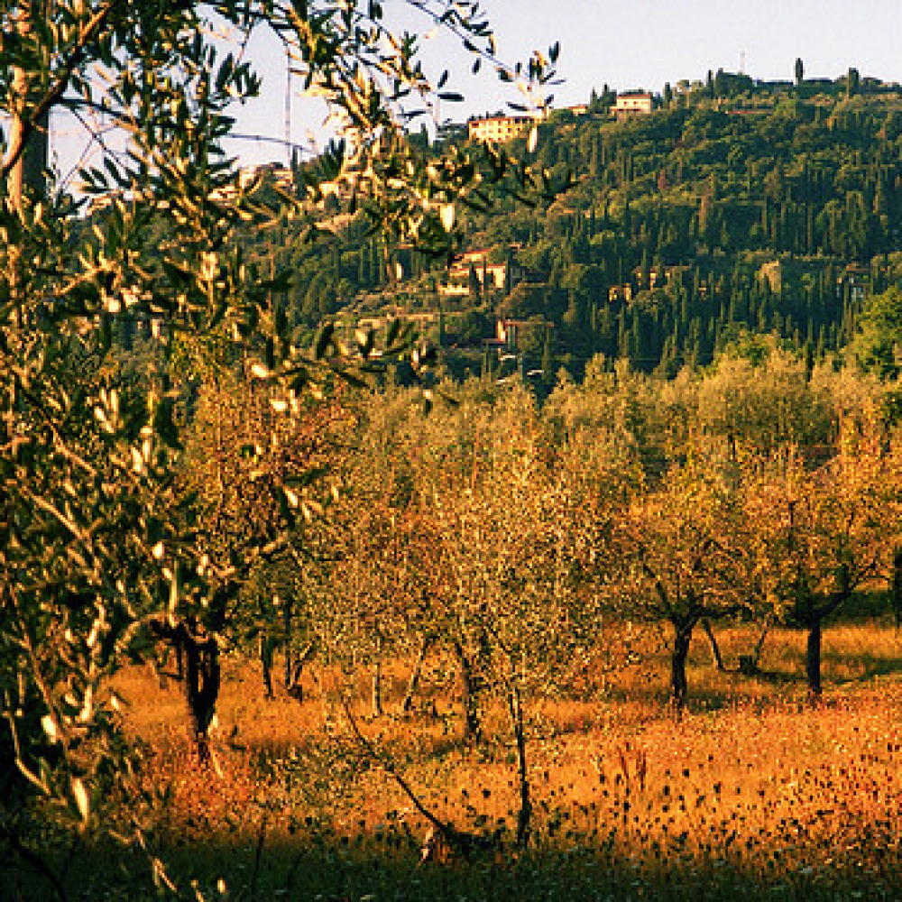 Panoramic villa in the Mugello