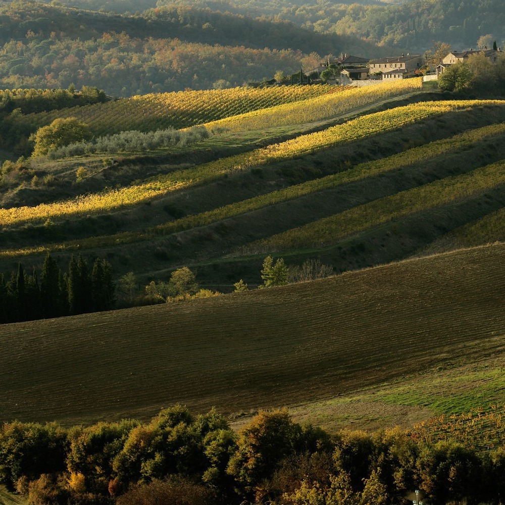 Antico resort con degustazioni d'olio d'oliva