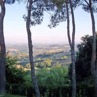 Apartments between woods and truffles