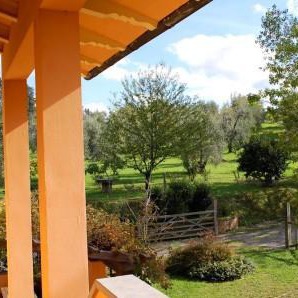 Countryhouse with pool  on Pisa hills