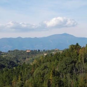 Casa sulle colline di Pisa & piscina e bosco