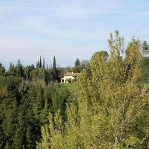 Countryhouse with pool  on Pisa hills