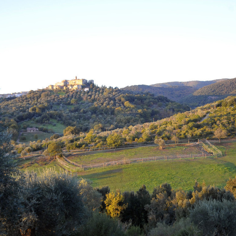 Appartamento in Maremma tra cavalli e mare