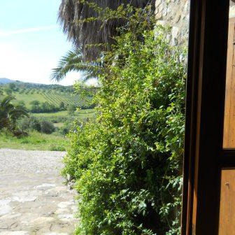 Apartment in a horse farm in Maremma