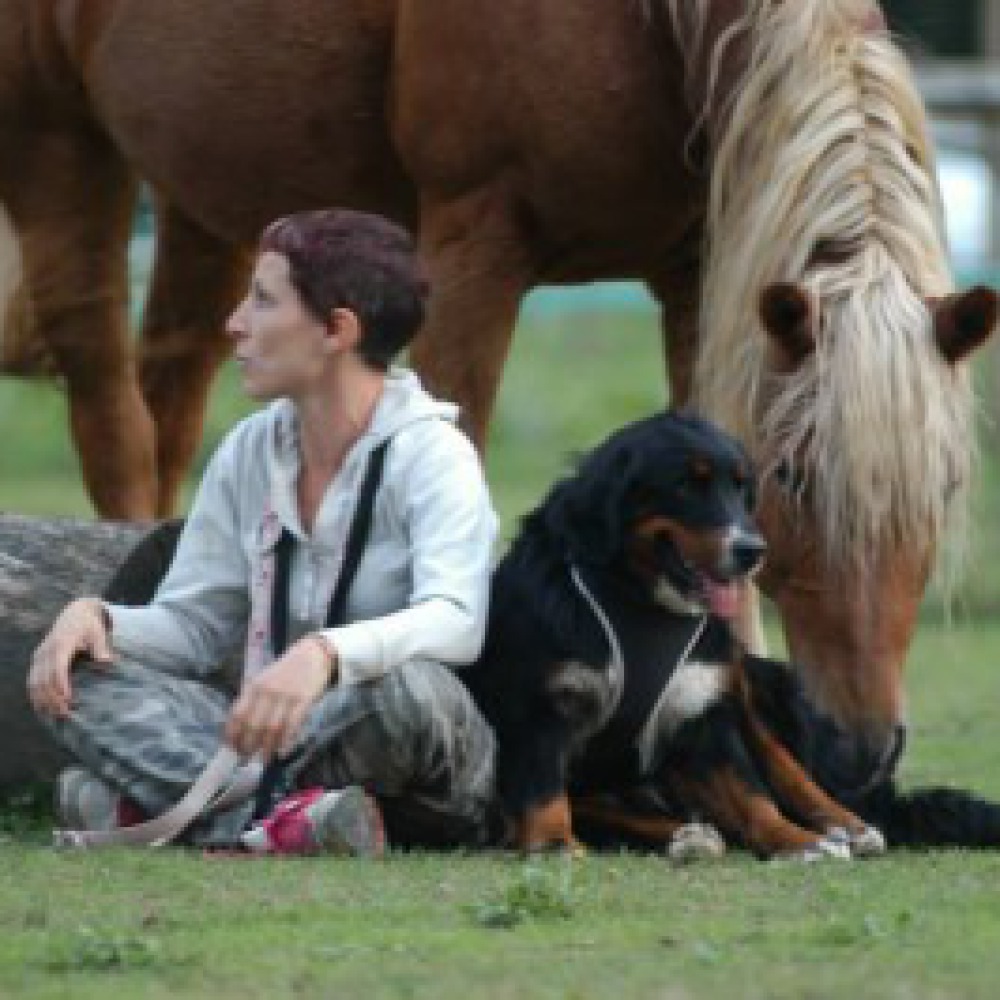 Appartamenti in fattoria animali, sapori bio