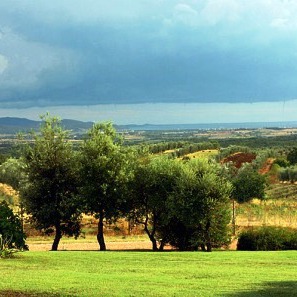 Farmhouse vineyard & pool, seaside Follonica