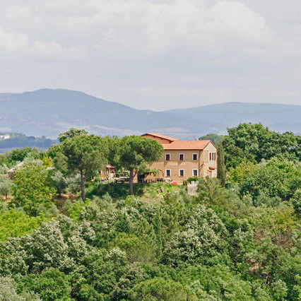 Farmhouse, with flats & pool on the wine road