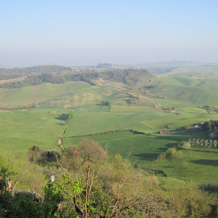 Appartamenti & piscina sulla strada del vino