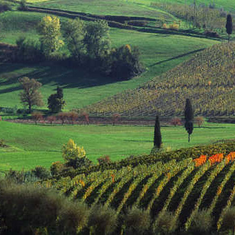 Due ville sul poggio nel Chianti