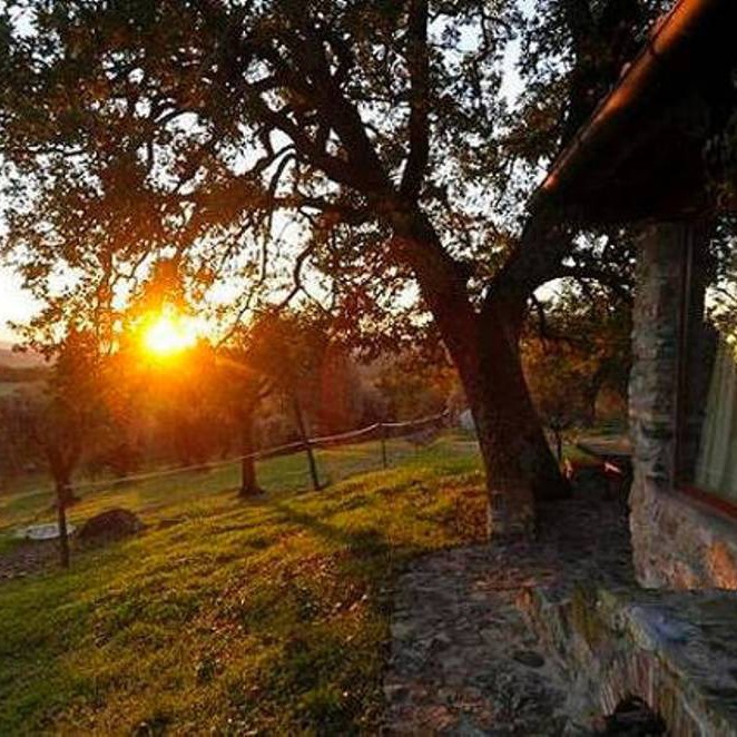 Apartment in a horse farm in Maremma