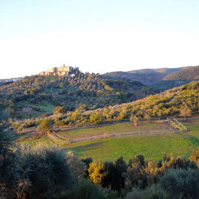 Appartamento in Maremma tra cavalli e mare