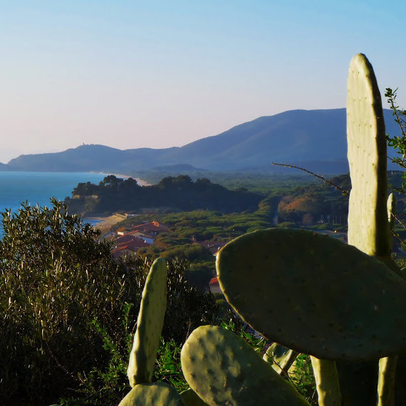 Appartamento in Maremma tra cavalli e mare