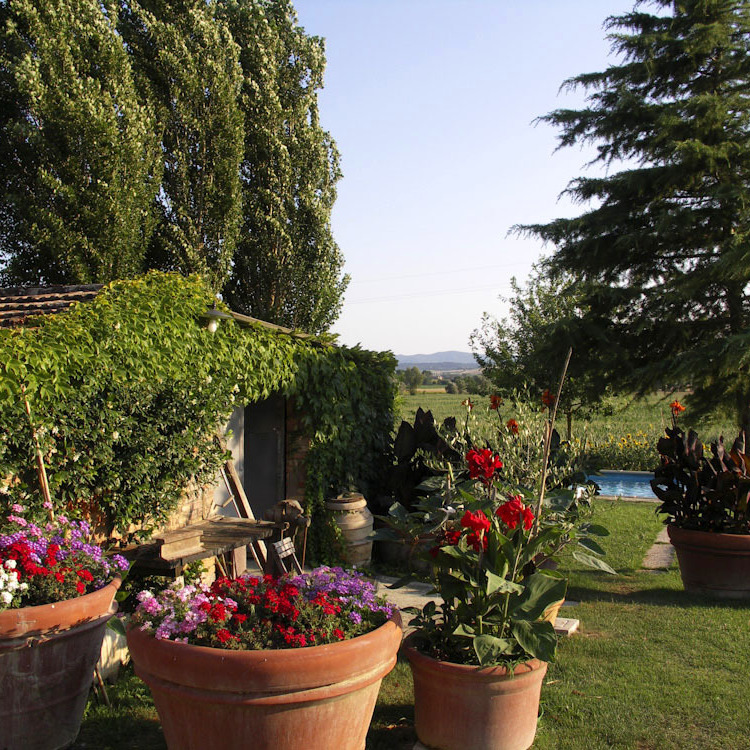 Casale & piscina in campagna vicino a Siena