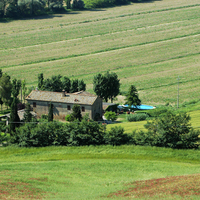 Countryhouse & pool Siena and Montalcino