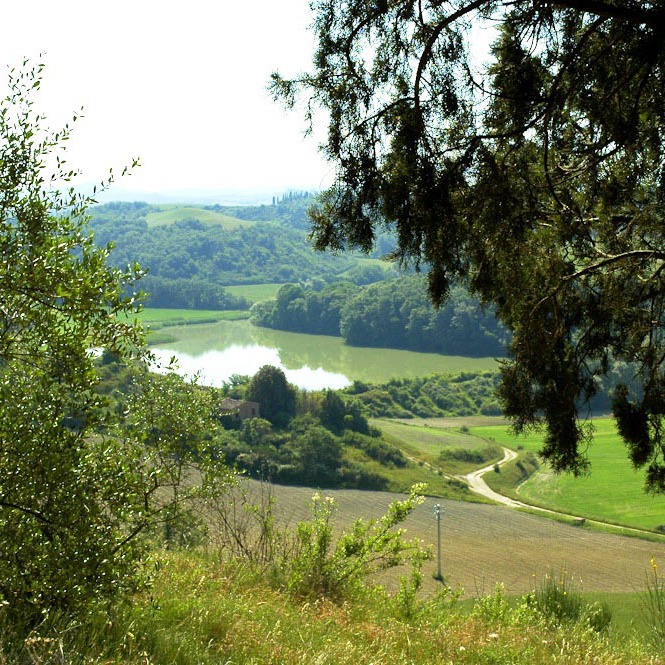 Countryhouse & pool Siena and Montalcino