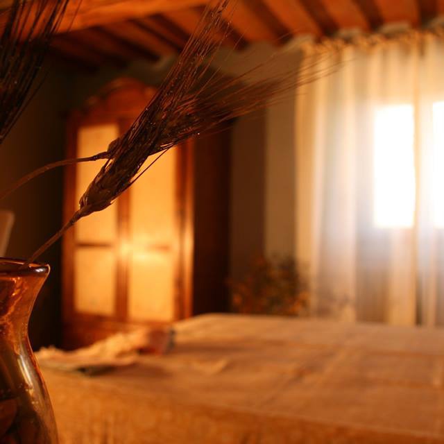 2 Casali di pietra immersi nel verde