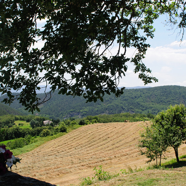 Casale di pietra immerso nel verde