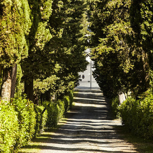 Residenza d'epoca e casali nella Valdelsa