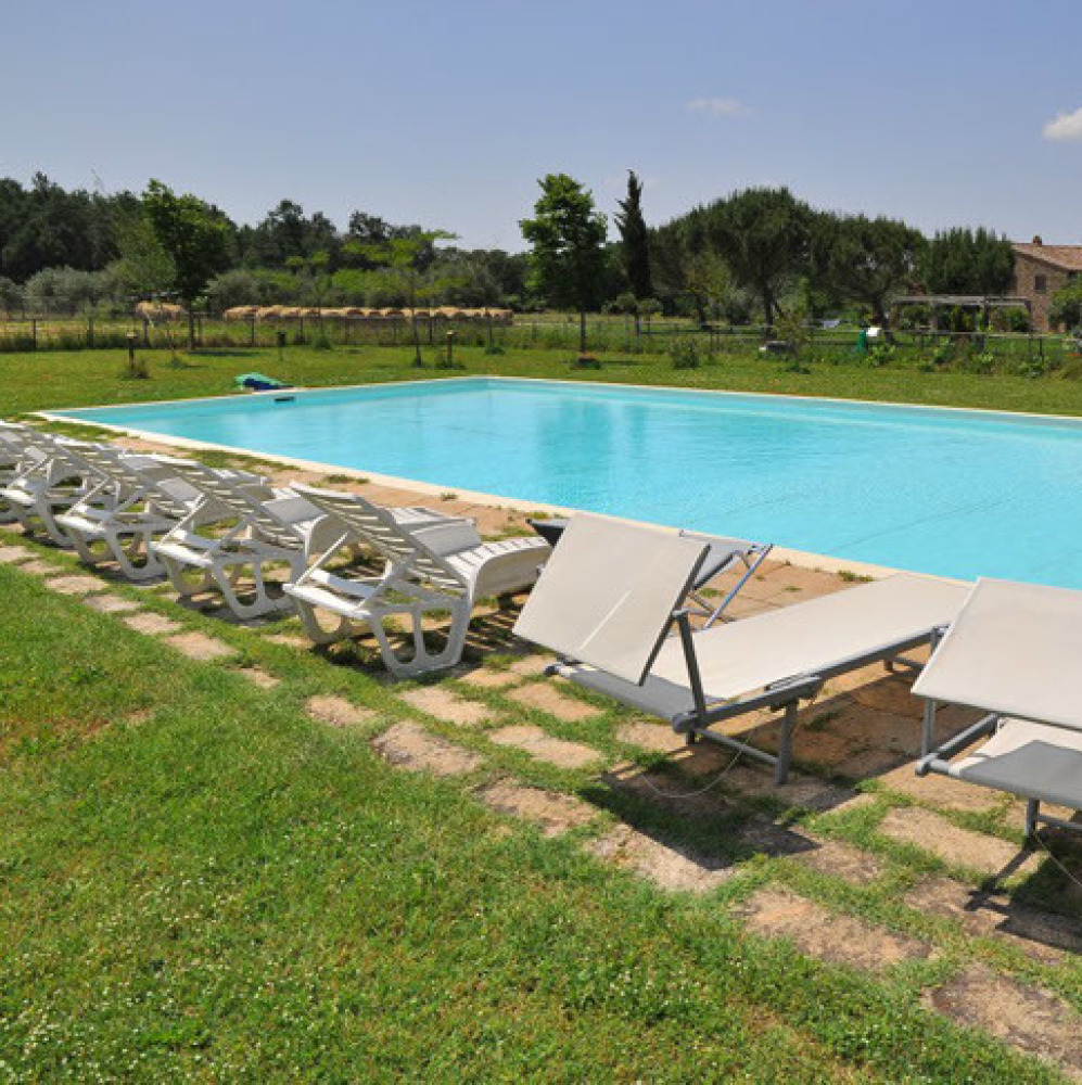 Farmhouse with animals, wine, woods and pool