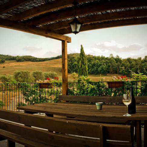 Farmhouse with animals, wine, woods and pool