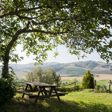 Fattoria con animali, vino, boschi