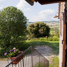 Farmhouse with animals, wine, woods and pool