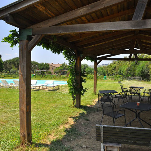 Farmhouse with animals, wine, woods and pool