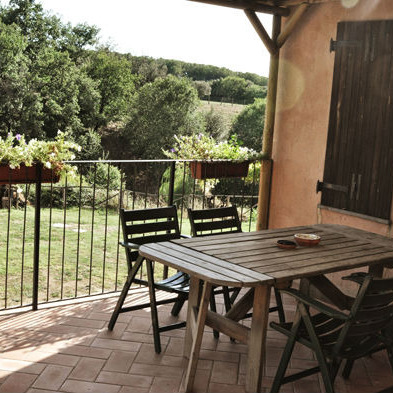 Farmhouse with animals, wine, woods and pool