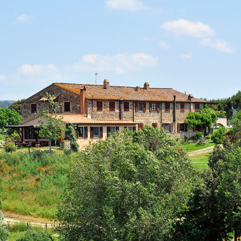 Fattoria con animali, vino, boschi