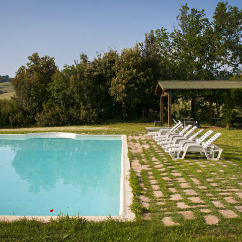 Farmhouse with animals, wine, woods and pool
