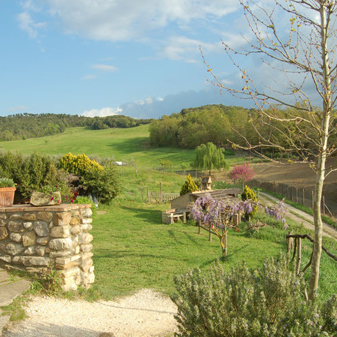 Fattoria con animali, vino, boschi