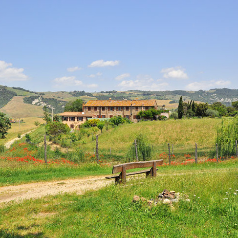 Fattoria con animali, vino, boschi