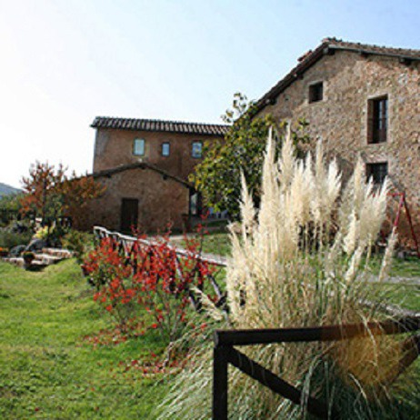 Farmhouse lands of Siena