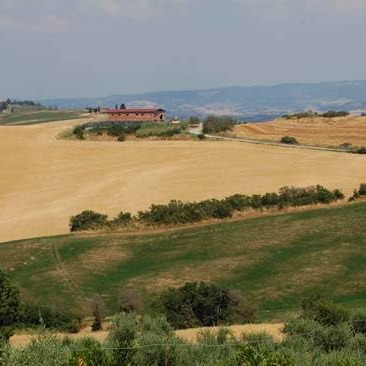 Villa in the countryside near Pisa