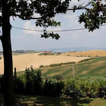 Villa in the countryside near Pisa