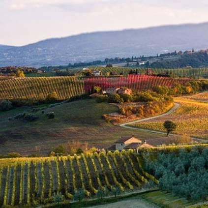 Countryhouse winefarm near Montepulciano