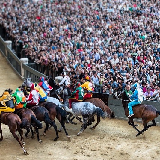 The Palio seen from above and exclusively