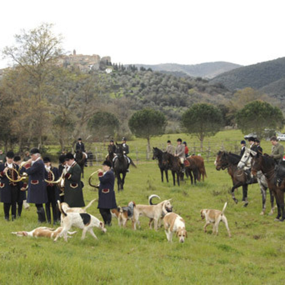 Appartamento in Maremma tra cavalli e mare