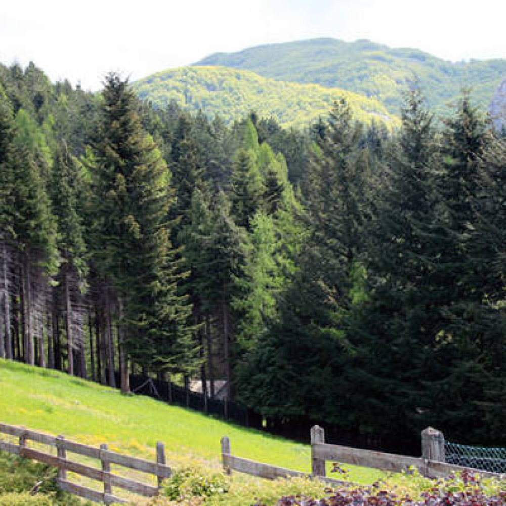 Villa nel Mugello con panorama sulle montagne